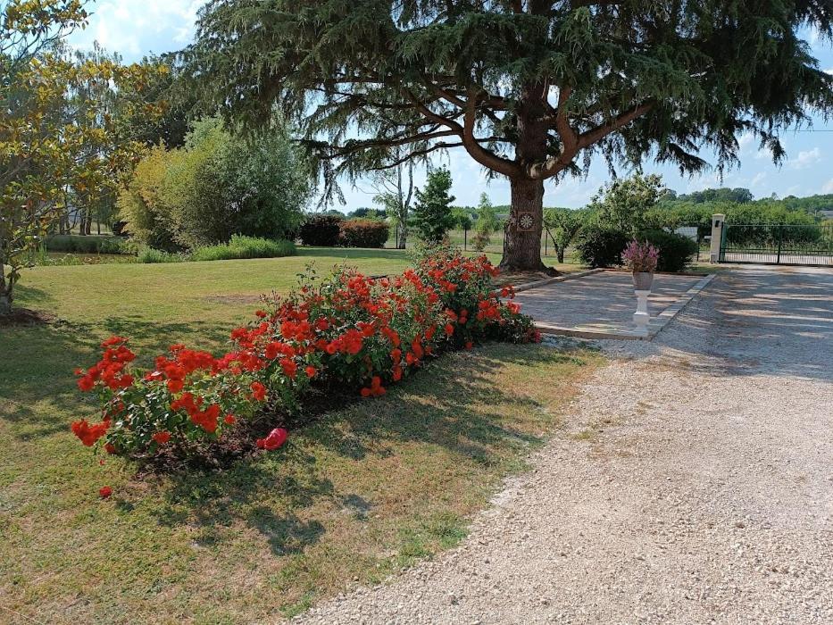 Comme A La Maison Pres Des Chateaux De La Loire Feings  Exterior photo